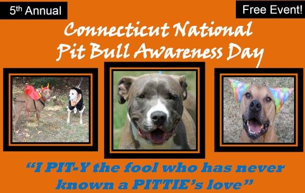 pittie daaay.jpg