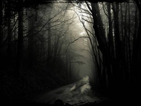 Scary_road_Wallpaper_2nk84.jpg
