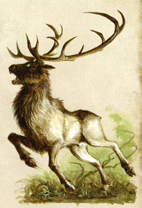 Maulhorn.png