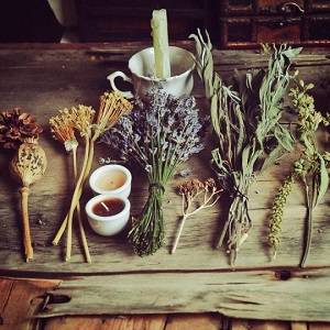 SykaHerbs.jpg