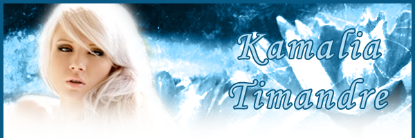 KamaBoxTop02.png