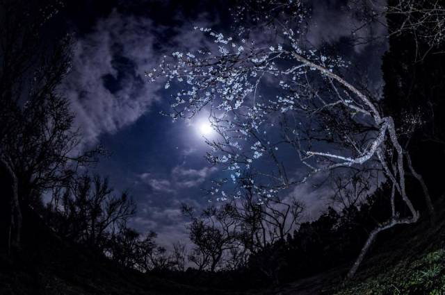moon-jupiter-Masaaki-Shibuya-3-2-20151.jpg