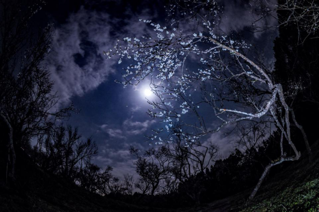 moon-jupiter.png