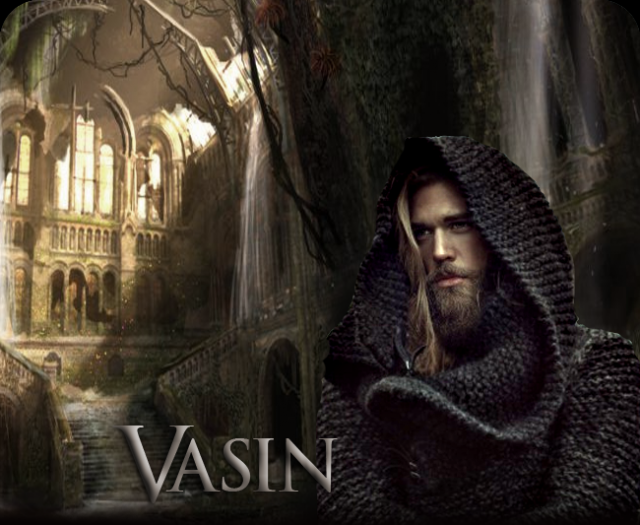 vasin1.png