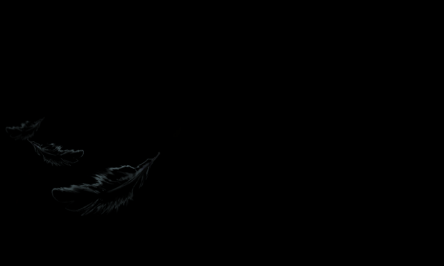 feathers.png