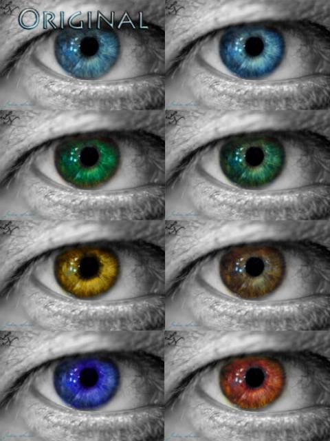 eye_colours_by_mcpainty_d8ekr27-fullview (1).jpg