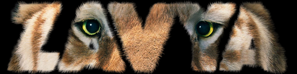Zavya signature2.png
