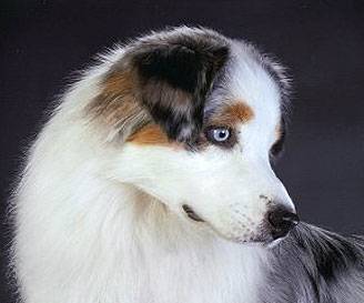 ghost6.jpg