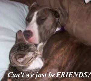 friendsPB.jpg