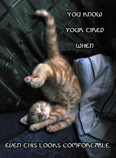 Falling_Asleep_by_felinefans.png