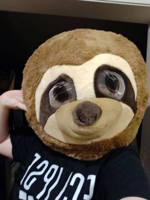 slothhead.jpg