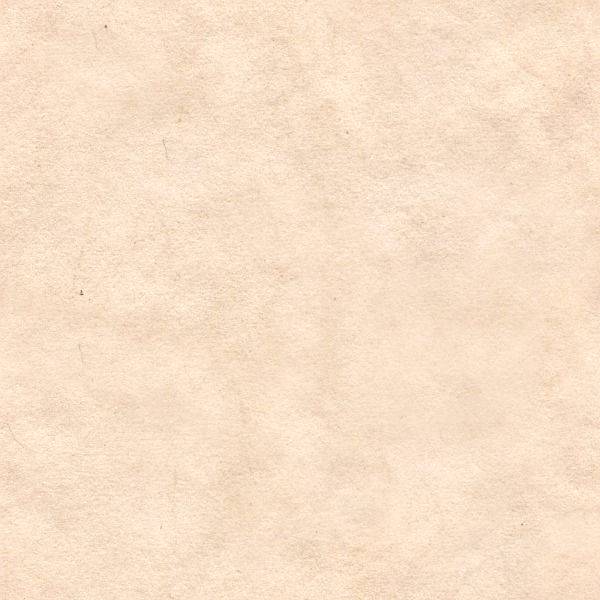 Parchment.jpg