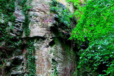 cliff face.png