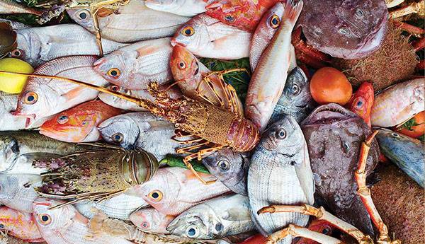 Fish Market.jpg