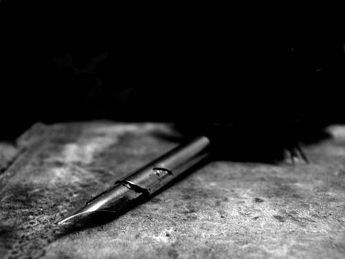 quill_by_sibbytora-d36c0f7.jpg
