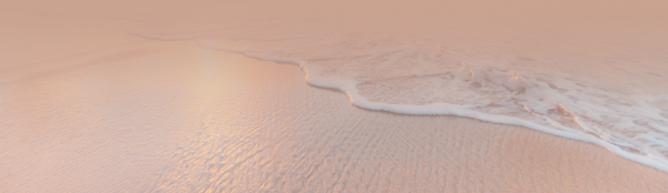 beachfoot.png