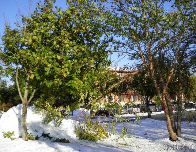 snowy destruction1.jpg