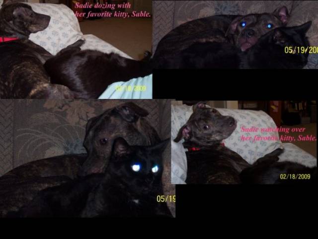 Sadie n Sable.jpg