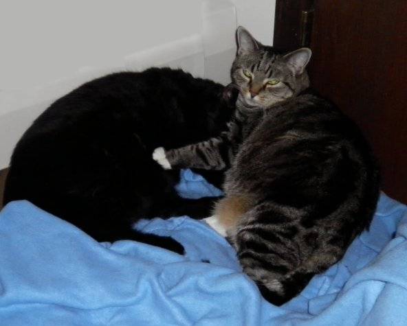 snuggles.jpg