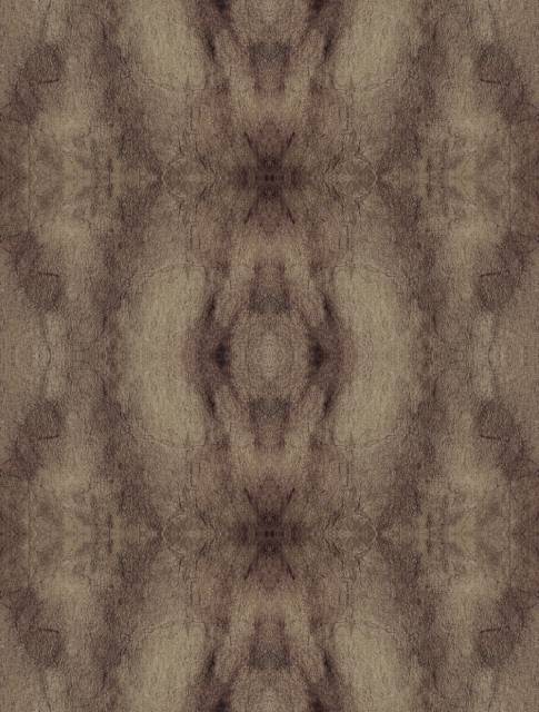 background1.jpg