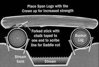 bridge.jpg