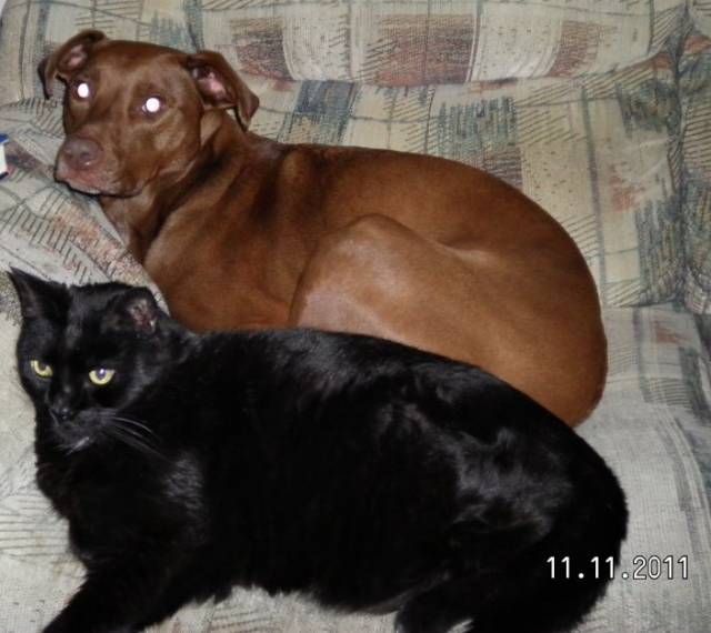 new couch1.jpg