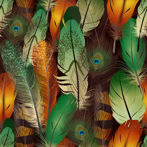 feathers.jpg
