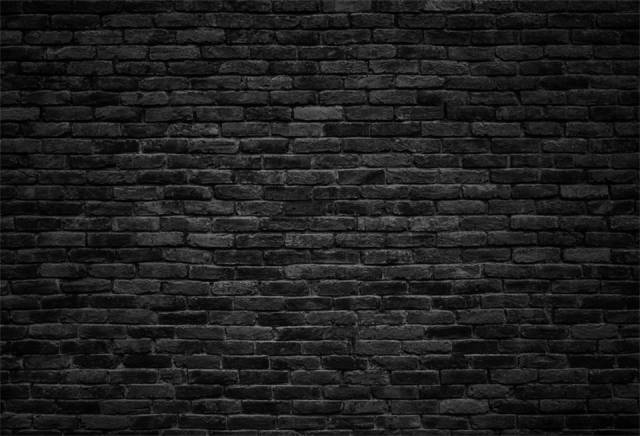 Laeacco-Grunge-Dark-Bricks-Wall-Scene-Photography-Portrait-Baby-Child-Seamless-Background-Photographic-Backdrop-For-Photo.jpeg_960x960.jpeg