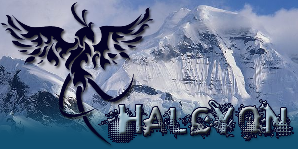 HalcyonBoxTop.png