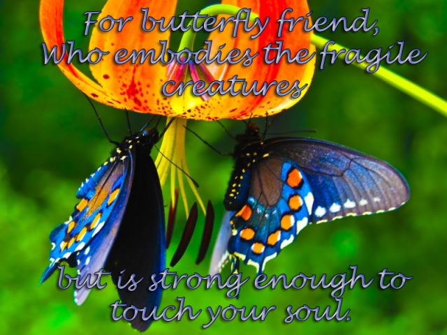For Jen.png
