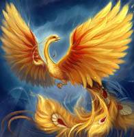 Phoenix-avvy2.jpg