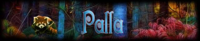pallabottom.jpg