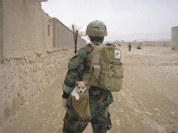 nowzad.jpg