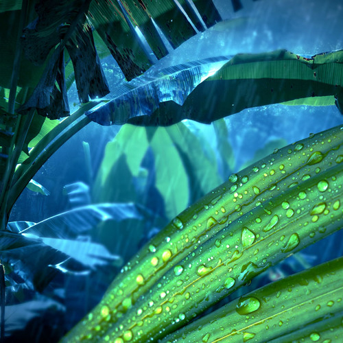 raininjungle.png