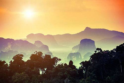 sunset-in-the-jungle-moreis.jpg