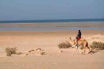 dakhla_camel_rider.jpg