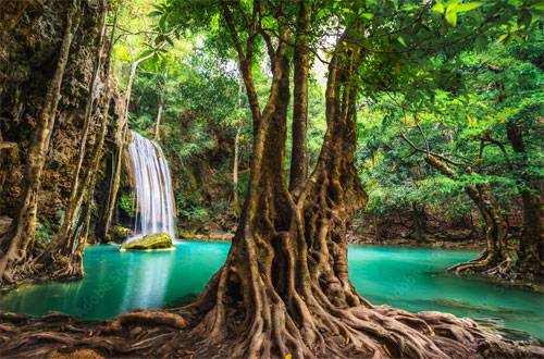 junglefalls.jpg