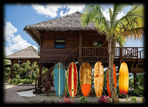 surfshopwithboards.png