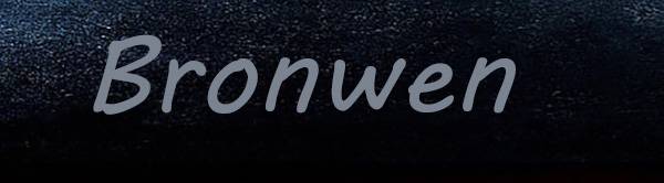 banner.jpg