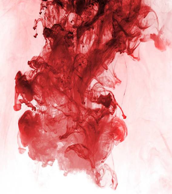 Blood in the water.jpg
