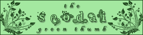 SeoSignature.png