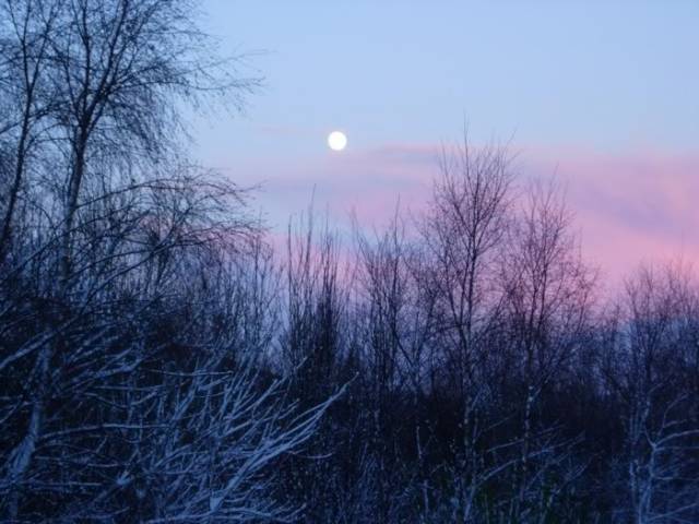 DSCN0093sm.jpg