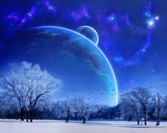 winter-snow-tree-fantasy-1280x1024.jpg