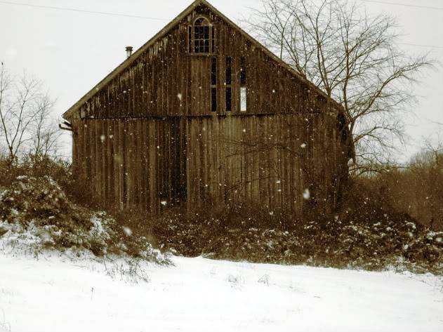 Barn_by_Holly6669666-1.jpg