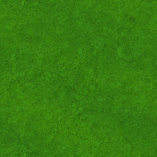 BGGrass.jpg