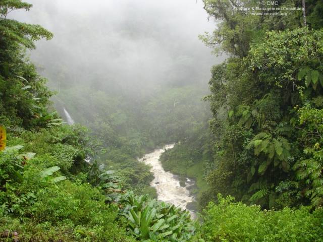 jungle_valley02.jpg