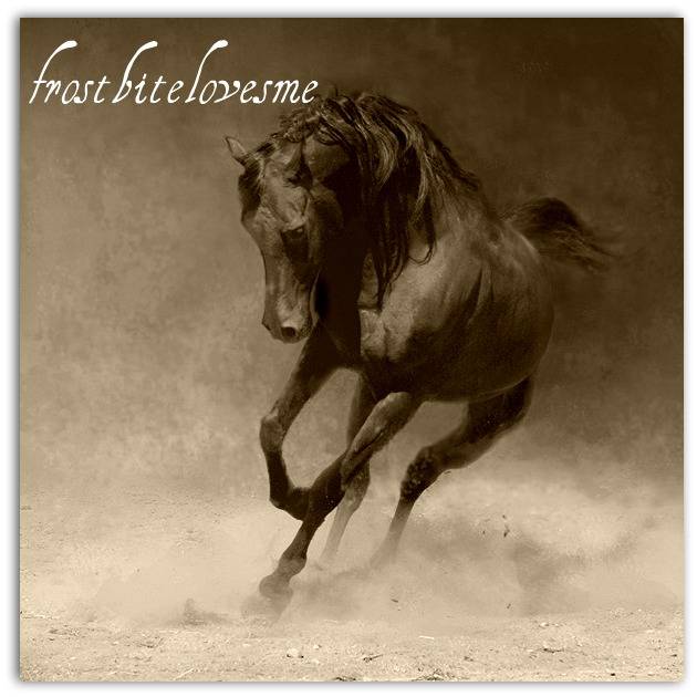 dark-horse.jpg