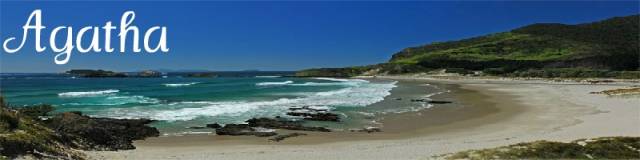 beach 03.jpg