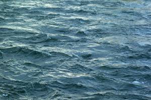water037.jpg