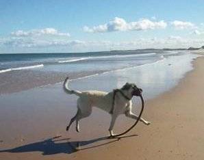 karabash beach.jpg